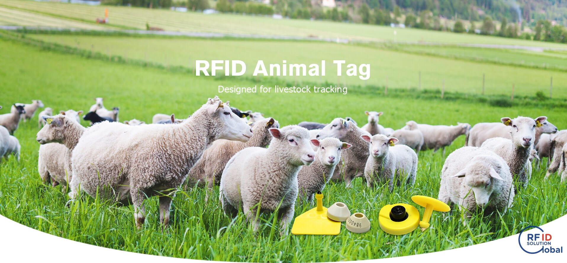 Etichette elettroniche animali Rfid