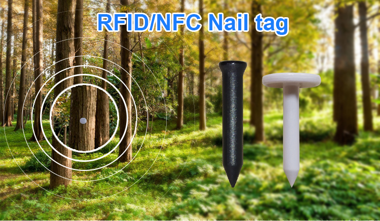 Chiodo Nfc NTAG216 RFID nylon 36,8mm