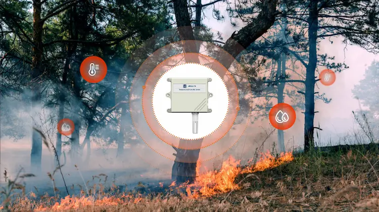 Mettere Fine agli Incendi Devastanti: La Soluzione Sensoriale di LoRaWAN Che Cambierà il Nostro Approccio alla Prevenzione degli incendi